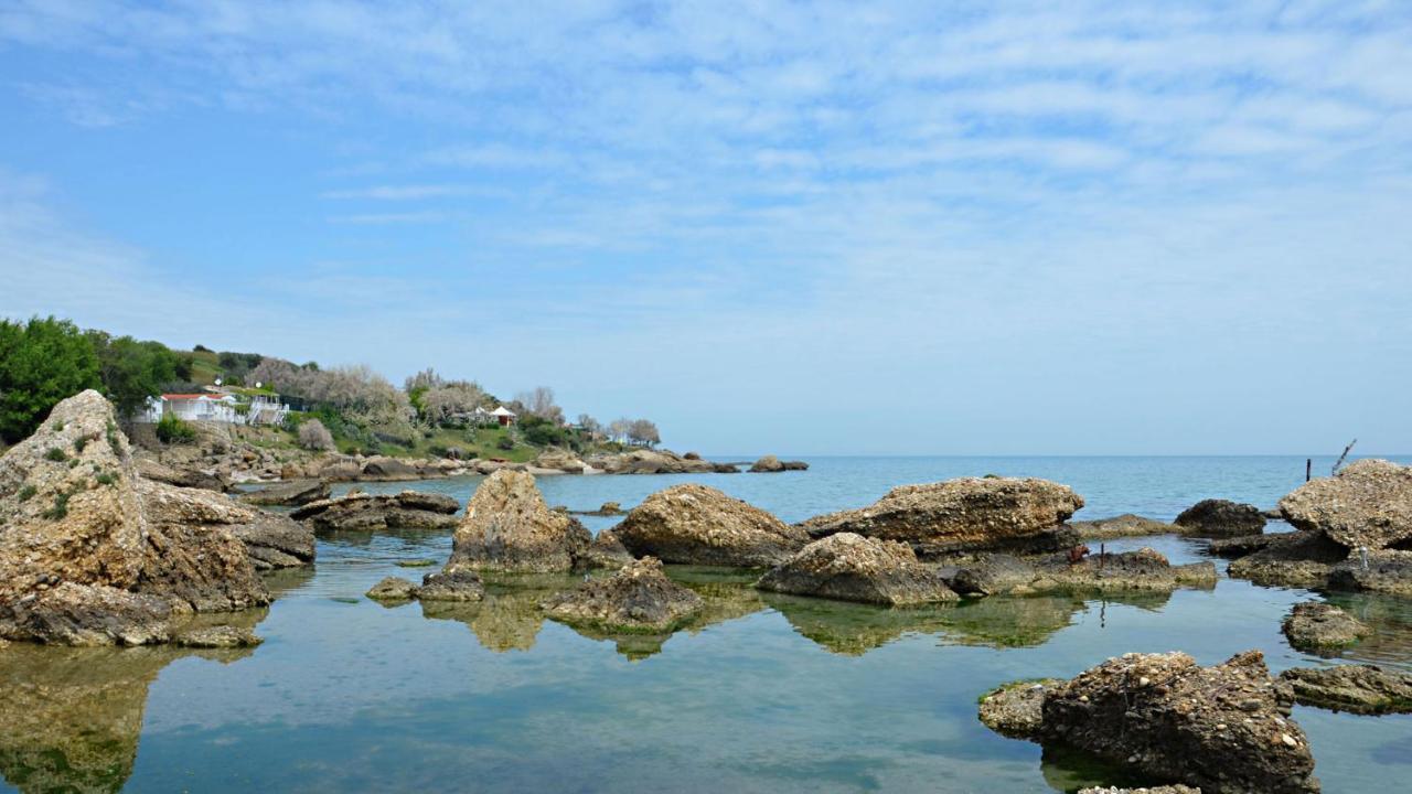 Al Faro Bianco B&B E Residence Con Parcheggio Vasto Exteriér fotografie